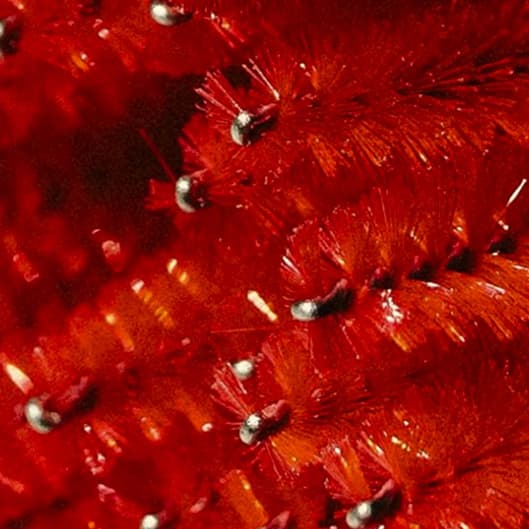 Soft Glam at Bellezza Bar in Nicholasville, KY